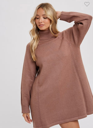 Solid Turtleneck Sweater Dress (2 colors)