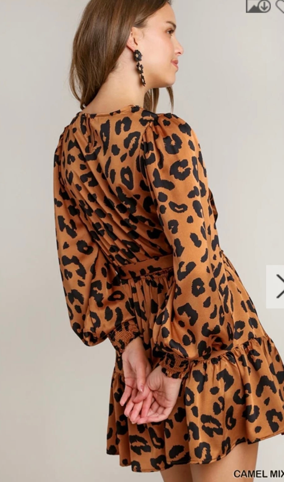 Leopard Waist Tie Dress