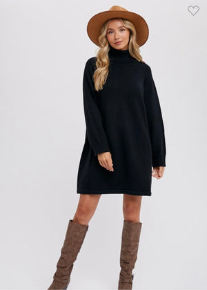 Solid Turtleneck Sweater Dress (2 colors)