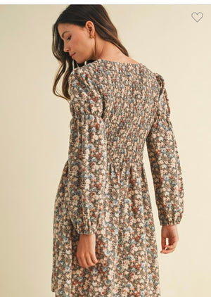 Brown/Blue Floral Dress