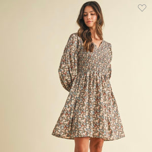 Brown/Blue Floral Dress